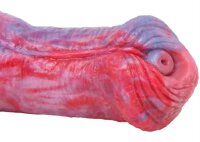 Double dildo Duo Wolf 48 x 5cm