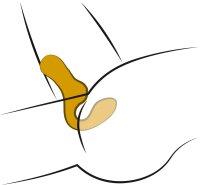 Your New Favourite Double Vibrator