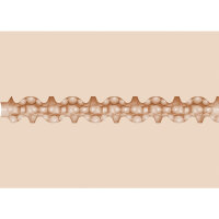 FLESHLIGHT Griffin Barrows Cake Anus Masturbator