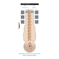 FLESHLIGHT Griffin Barrows Cake Anus Masturbator