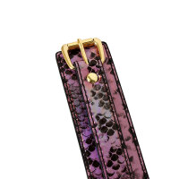 Collar Gold/Pink Reptile with Leash