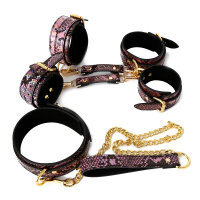 3 Piece BDSM Set Gold/Pink Reptile