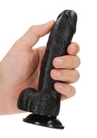 Curved Realistic Dildo  Balls  Suction Cup 6/ 15,5 cm