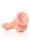 Curved Realistic Dildo  Balls  Suction Cup - 8/ 20,5 cm