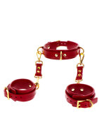 Taboom D-Ring Halsband und Handgelenkmanschetten rot, gold