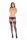 Dream Of Me Crtls Garter Thong Black, S/M