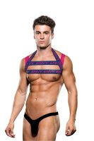Envy Logo Harness Blue Pink S/M - L/XL