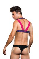 Envy Logo Harness Blue Pink S/M - L/XL