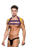 Envy Logo Harness Blue Yellow  S/M - L/XL