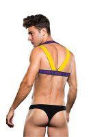Envy Logo Harness Blue Yellow  S/M - L/XL