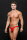 Microfiber Lowrise Zip Thong Red S/M - L/XL