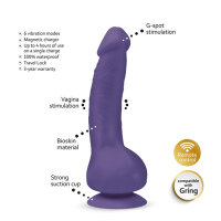 Gvibe Greal 2 Violet