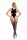 All A Dream Bodystocking Black Onesize - Queensize