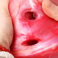 Allya - Monster Masturbator