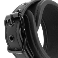 Fetish Submissive Cuff And Tether Set