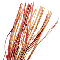 Fetish Submissive Dark Room Flogger Vegan Leather