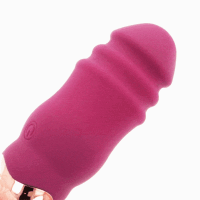 Rithual Reva Remote Controlled Eggs Stimulator Up & Down Vibration