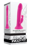 Evolved Somebunny To Love