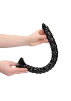 Scaled Anal Snake 16/ 40 cm