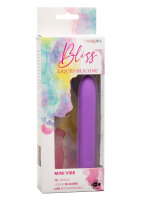 Bliss Mini Vibe