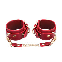 BDSM Deluxe 5 Item Kit - Red