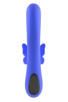 Evolved Butterfly Dreams