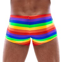 Mens Boxer Briefs Rainbow M