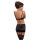 SpaLeXLine Moss Set