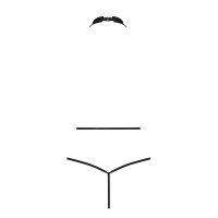 Passion Jannies body black