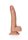 Curved Realistic Dildo with Balls and Suction Cup - 7" / 18 cm