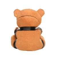 Gagged Teddy Bear Plush