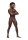 Male Power Posing Strap one Size