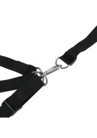 Shots Tür-Sexschaukel schwarz