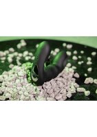 Shots Vibro Prostata Massager Metallic Schwarz