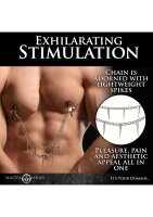 XR Brands double chain nipple clamps silver