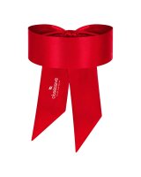 Obsessive Bondage scarf