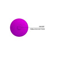 Pretty Love Joy Collection vibrator with 4 attachments purple