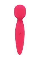 Vaginal Massager