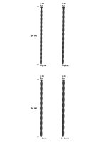 Hidden Desire Penis Dilator Set Large 4 pcs