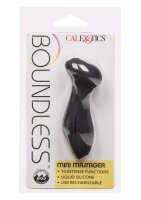 CalExotics Boundless Mini Massager