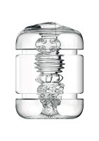 Private Clear Shot Pussy & Ass