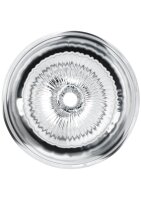 Private Clear Shot Pussy & Ass