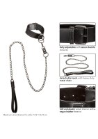 CalExotics Collar With Chain Leash