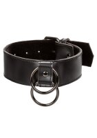 CalExotics Collar With Chain Leash