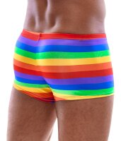 Mens Boxer Briefs Rainbow S