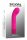Selopa Paradise G G-Spot-Vibrator 10,2 cm