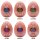 Tenga Egg HB Package II 6pcs