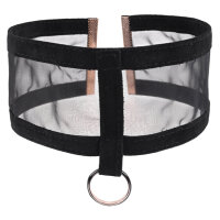 Sportsheets Sex & Mischief Sheer Day Collar