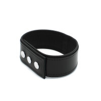 Kiotos Leather Push Button Collar with Metal Shackle
