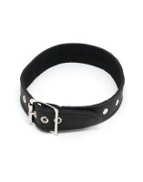 Rimba Simple Collar Decorated with Studs Black M-L